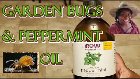 Bugs and Peppermint Oil - 7Jun2022