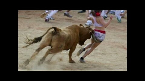 Best funny videos 2021 Most awesome bullfighting festival funny crazy bull fails