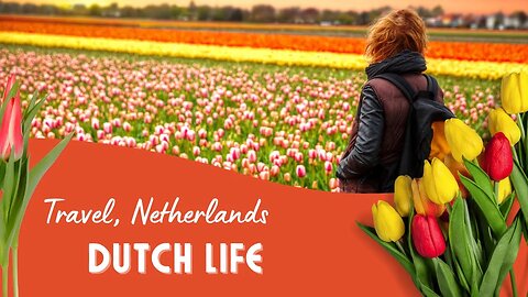 Netherlands Travel Guide on a Budget