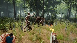 The Forest Multiplayer!