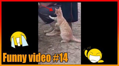 Funny video 14 #short