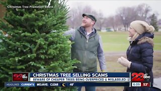 Christmas tree selling scams