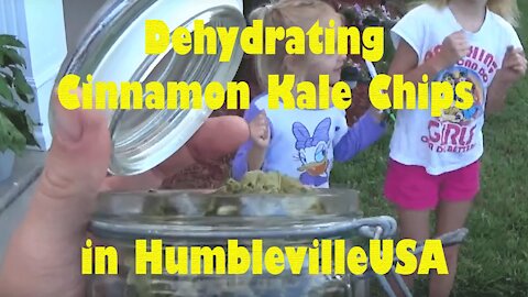 DEHYDRATION: Recipe for Dehydrated Cinnamon Kale Chips from Dehydrator + Kids' Taste Test