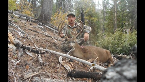 Hunting Blacktail Bucks in Northern Ca.