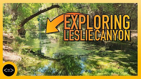 Exploring Leslie Canyon and searching for Frogs