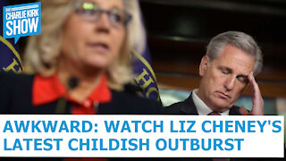 AWKWARD: Watch Liz Cheney's Latest Childish Outburst