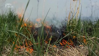 Lethbridge County Grassfires | Thursday, July 13, 2023 | Angela Stewart | Bridge City News