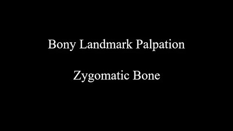 Bony Landmark Palpation - Zygomatic Bone (Skull)