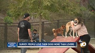 Survey: People love their dogs more than lovers