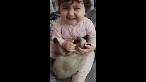 Cute Little Babies and Cats Being Funny Hilarious Catsshorts cutebaby