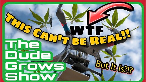 Illegal Drone Delivering Cannabis and... - The Dude Grows Show 1,431