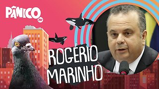 ROGÉRIO MARINHO - PÂNICO - 27/01/21