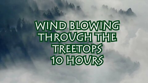 10 Hours of Unforgettable Wind Blowing Through the Treetops