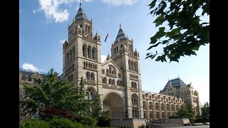 The truth about London's Natural History Museum