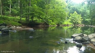 Beautiful Patuxent Trail River Sounds to Relax, Study or Sleep