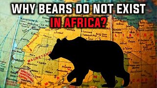 WHY BEARS DO NOT EXIST IN AFRICA? | ATLAS BEAR | 8 BEAR SPECIES