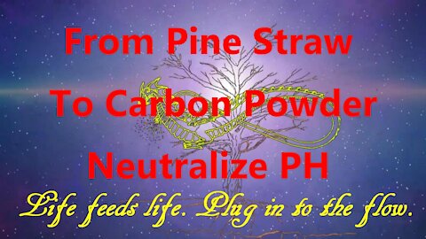 From Pine Straw To Carbon Powder To Neutralize PH