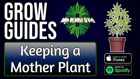How to Keep Mother Plants | Grow Guides Episode 25