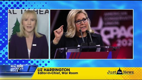 Fmr. GOP National Spokeswoman on Liz Cheney's Political future: "I think she is done."