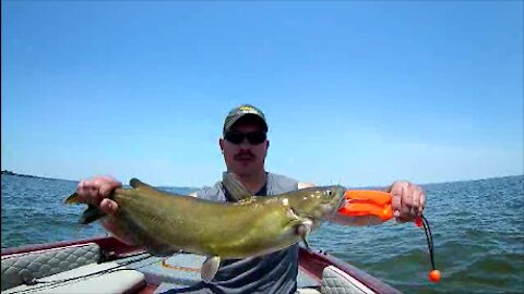 Fishing out of Port Deposit, N.E. Chesapeake Bay