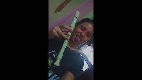 cover on the Kung Fu panda flute