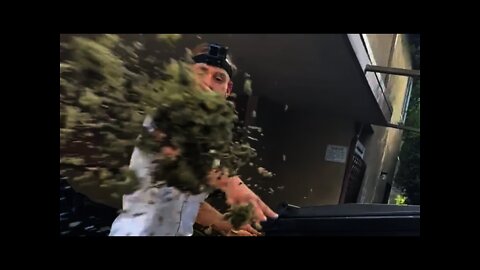 Angry Zombie Throws Weed At Video Matt