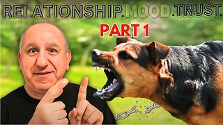 The Missing Links In Dog Training - 3 Unspoken Fundamentals