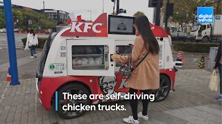 Self-driving chicken trucks