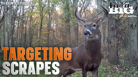 The Best Time to Hunt Buck Scrapes