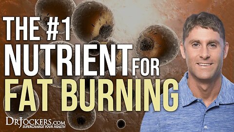 The #1 Nutrient for Fat Burning!