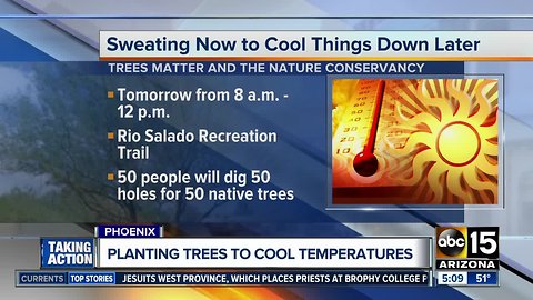 Volunteers plant trees to cool down the Valley during summer