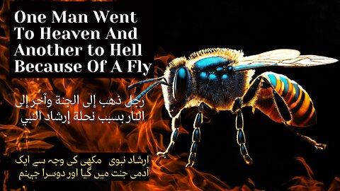 One Man Went To Heaven And Another Went To Hell , Because Of A Fly