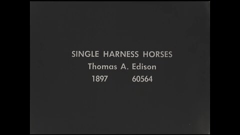 Single Harness Horses (1897 Original Black & White Film)