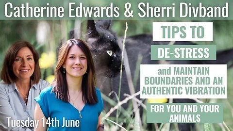 Sherri Divband and Catherine Edwards: Tips to De-stress & Maintain Boundaries for You and Your Pets!