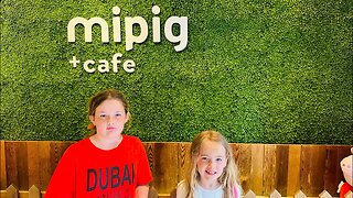 Mipig Cafe Tokyo. Visiting a Cafe With Pigs in Japan 🇯🇵