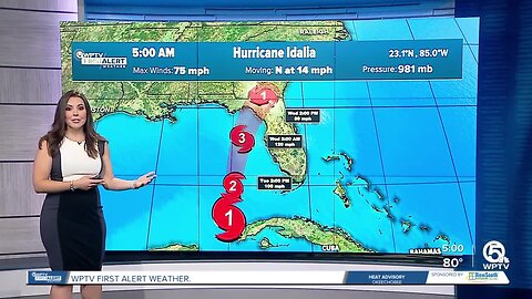Hurricane Idalia forecast, morning of Aug. 29, 2023