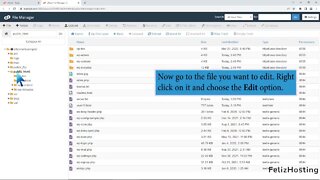 How to Edit file in the cPanel File Manager with FelizHosting