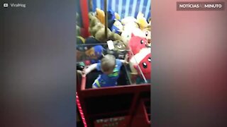 Bebê invade máquina de pegar bichinhos