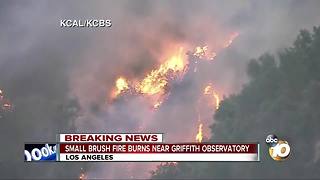 Small brush fire burns near Griffith Observatory