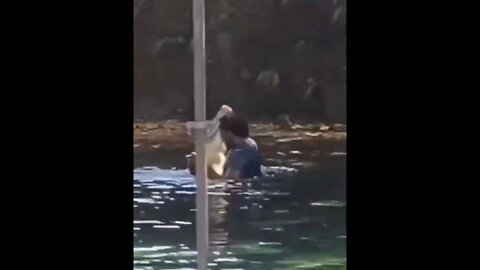 FloridaMan Loves To Dance with a Gator, for no reason