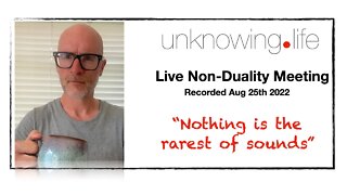 "Nothing is the rarest of sounds" - Live Non-Duality Meeting Recorded August 25th