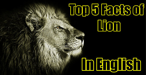 Roaring Truths Top 5 Astonishing Facts About Lions |facts of lion|