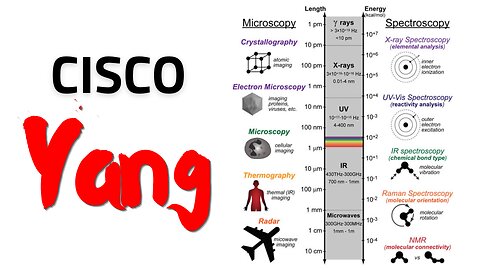 Cisco Yang