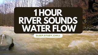 RIVER SOUNDS - WATER FLOW | SOOTHING RELAXATION | SLEEPING, STUDY, CHILL