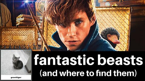 Fantastic Beasts (and where to find them)