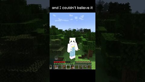 Minecraft but every time I take damage I get bigger