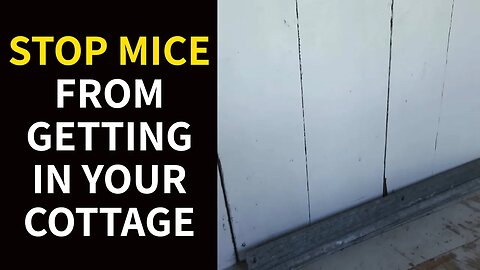 Stop Mice from Getting in Your Cottage