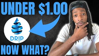Passive Income Drip is Under $1 Now What?