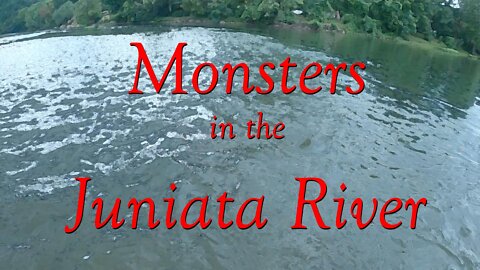 Monsters in the Juniata