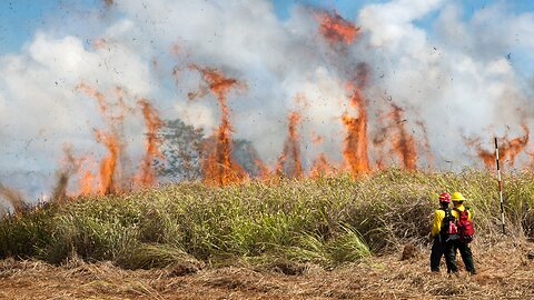 Hawaii Wildfires Worst Natural Disaster To Hit The State In 30 Years